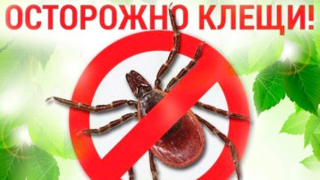 Территориальный отдел Управления Роспотребнадзора информирует Территориальный отдел Управления Роспотребнадзора информирует.