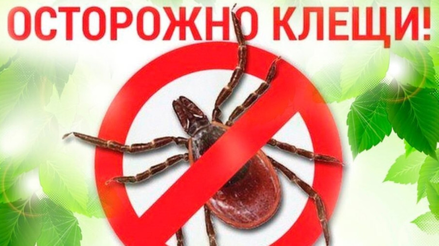 Территориальный отдел Управления Роспотребнадзора информирует Территориальный отдел Управления Роспотребнадзора информирует.